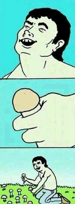 image.jpg