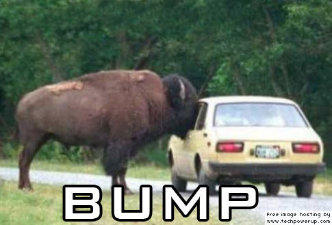 3290737-bump+meme.jpg